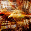 Basilic dreams